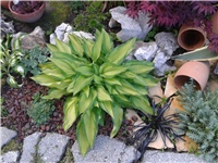 511e62b5-2016-05-06 17.18.19.jpg